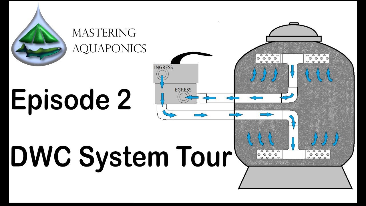 Top Aquaponics Setup in Flagstaff: Your Guide to Success